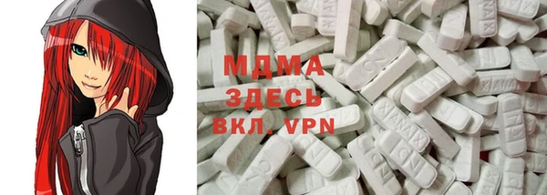 мдпв Бородино