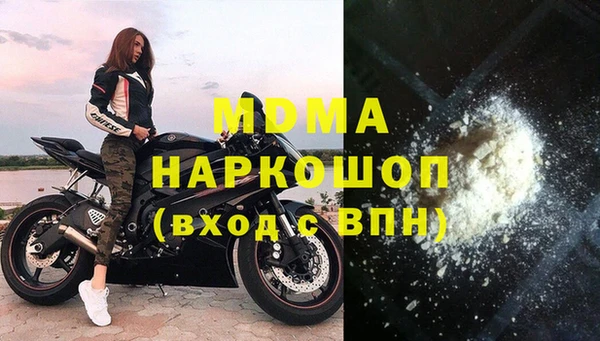 мдпв Бородино