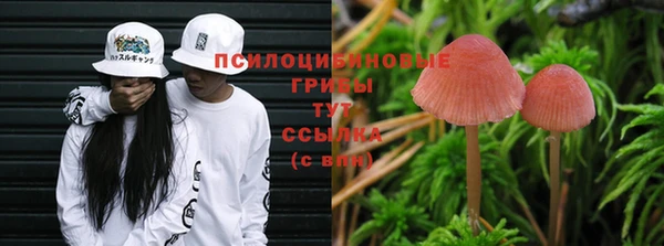 стаф Верхний Тагил