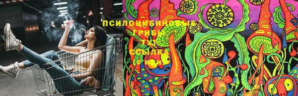 ECSTASY Бугульма