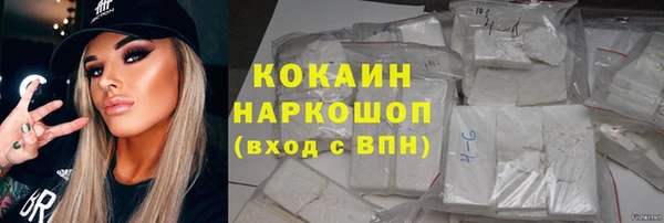 мдпв Бородино