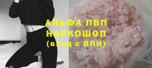 мдпв Бородино