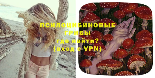 мдпв Бородино