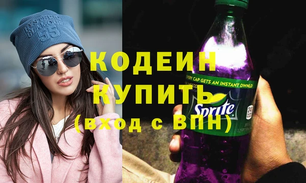 мдпв Бородино
