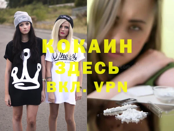 мдпв Бородино