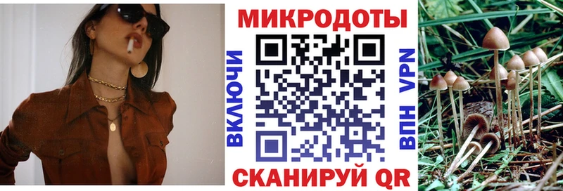 Псилоцибиновые грибы Magic Shrooms Венёв