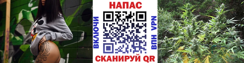 Каннабис AK-47  Венёв 